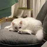김범관