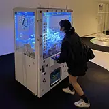 홍유진