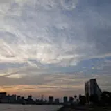 황일현