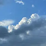 박윤세
