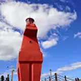 정지원