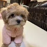이승용