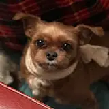 혜민