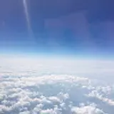 제제