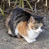 강웅규