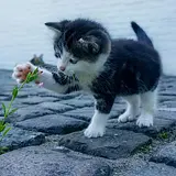 오지희