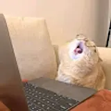 이시원