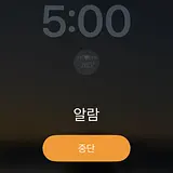 미모잉