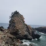 한재식