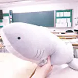 정연준