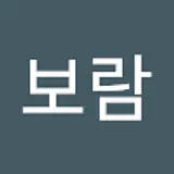 김보람