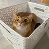 김대환