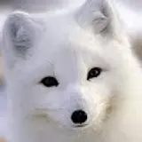 여울