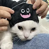 김민욱
