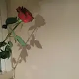 김