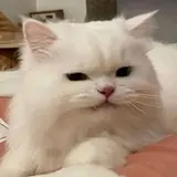 황서은