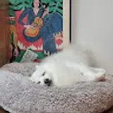 전동규