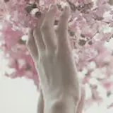 김정아
