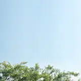미란