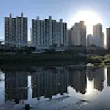 기린홍정