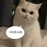 박정민