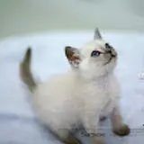 김세영