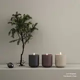 정명철