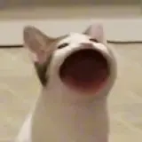 Deoni