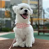 이서영