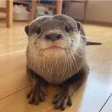 장재현