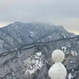 청설모