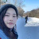 이다솜