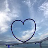 토로군