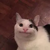 dmswld