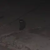 찐찐