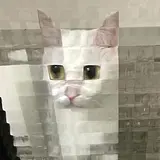 전예진