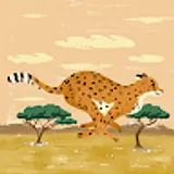 김상호
