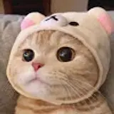 염지석