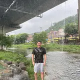 표시형