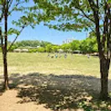 Kyoungho Park