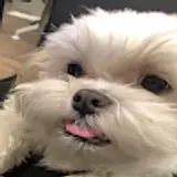 강동길Neal