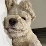 정세민