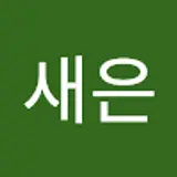 김새은