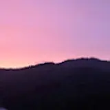 손민우