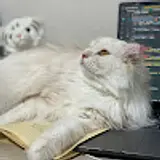박나희