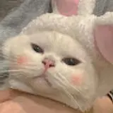 하늬