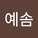 하예솜