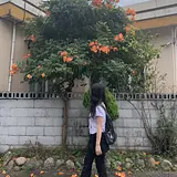 한혜원