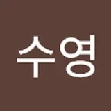 손수영