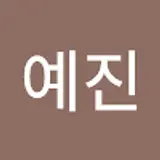 손예진